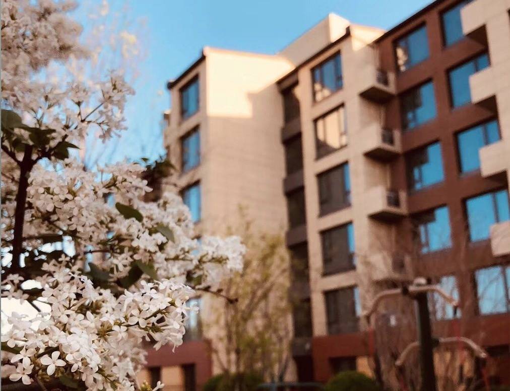 养老院天保京北健康城医保定点精准地址咨询联系方式AG凯发K8国际【2026最新】慢阻肺照护慢病的(图19)