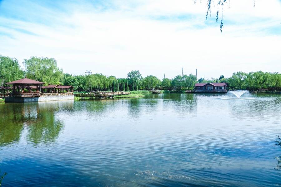 东燕郊方舟养老院功能锻炼详情一览表2026最新K8凯发登录入口瘫痪吞咽细致照护养老院推荐北京(图41)