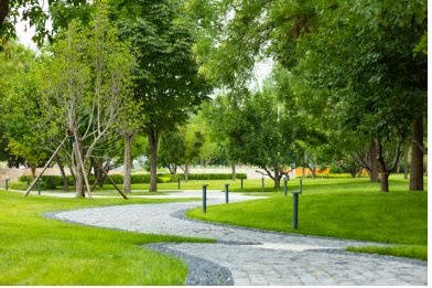 东燕郊方舟养老院功能锻炼详情一览表2026最新K8凯发登录入口瘫痪吞咽细致照护养老院推荐北京(图3)